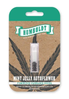 HUMBOLDT SEEDS COMPANY - MINT JELLY AUTO | 10 SEMI