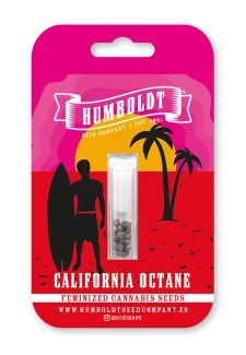 HUMBOLDT SEEDS COMPANY - CALIFORNIA OCTANE FEM | 3 SEMI