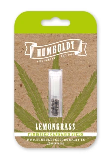 HUMBOLDT SEEDS COMPANY - LEMONGRASS FEM | 10 SEMI