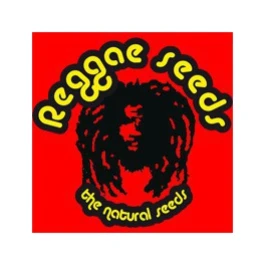 RS00307 - O'HAZE RED 7 SEMI FEMM REGGAE SEEDS