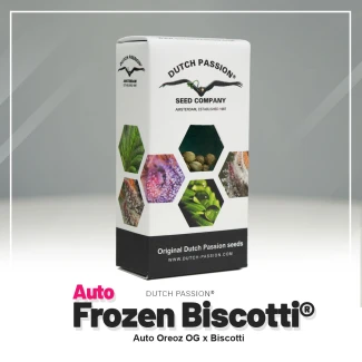 DP_Auto-Frozen-Biscotti-Dutch-Passion-seed-company_packet
