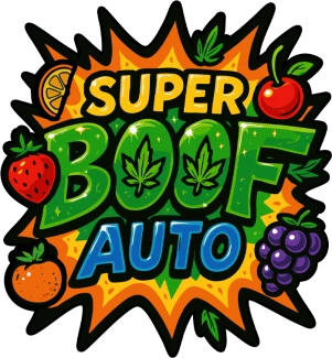 FB_super_boof_auto_logo
