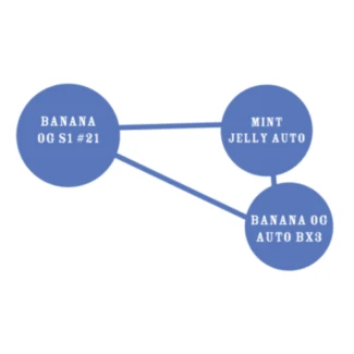 HSC_banana_og_auto_cross