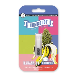 HSC_banana_og_auto_packet