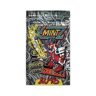 RS_kmintz_auto_packet