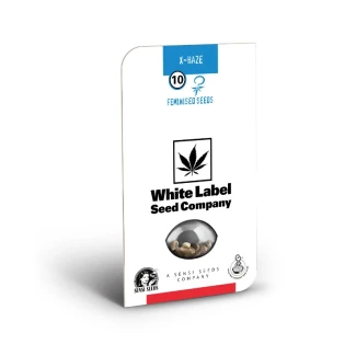 WL_x_haze_fem_packet