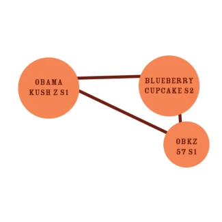 HUMBOLDT-SEEDS-COMPANY-PUFF-PASTRY-FEM_graph