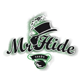 MRH03FMR420K - MR. HIDE SEEDS - Mr. 420K 3 SEMI FEMM