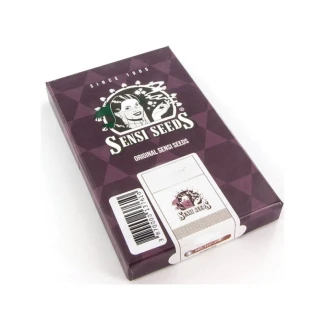 SENSI SEEDS BANK - SENSI AMNESIA FEM | 3 SEMI