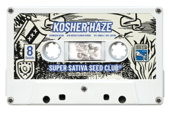 SSSC121201 - SUPER SATIVA SEED CLUB - KOSHER HAZE REG | 12 SEMI