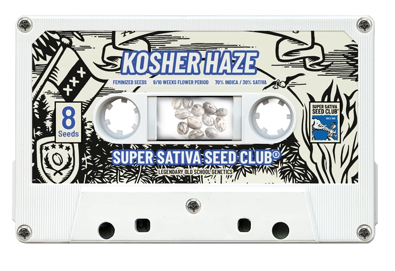SSSC121201 - SUPER SATIVA SEED CLUB - KOSHER HAZE REG | 12 SEMI