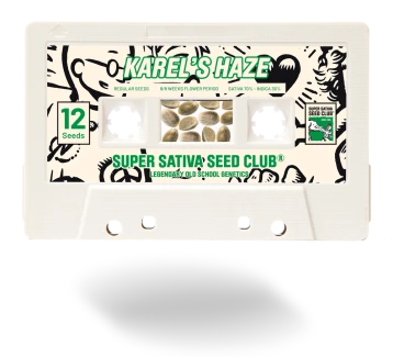 SUPER SATIVA SEED CLUB - KAREL'S HAZE REG | 12 SEMI