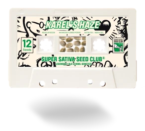 SSSC021201 - SUPER SATIVA SEED CLUB - KAREL'S HAZE REG | 12 SEMI