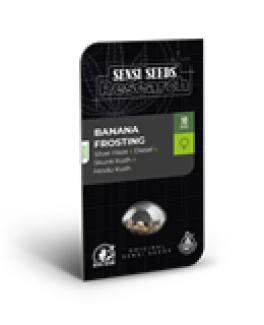 SENSI SEEDS RESEARCH - BANANA FROSTING FEM | 3 SEMI