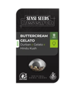 SENSI SEEDS RESEARCH - BUTTERCREAM GELATO FEM | 3 SEMI FEMM