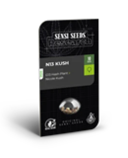SENSI SEEDS RESEARCH - N13 KUSH FEM | 3 SEMI