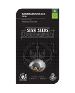 SENSI SEEDS RESEARCH - BANANA KUSH CAKE FEM | 5 SEMI