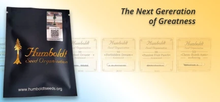 HUMBOLDT SEED ORGANIZATION - GHOSTSCOTTI REG | 10 SEMI