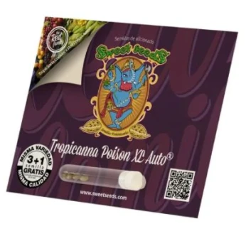 SWEET SEEDS - TROPICANNA POISON XL AUTO® FEM (SWS95) | 25 SEMI