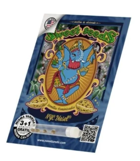 SWEET SEEDS - NYC DIESEL® FEM (SWS06) | 5+2 SEMI