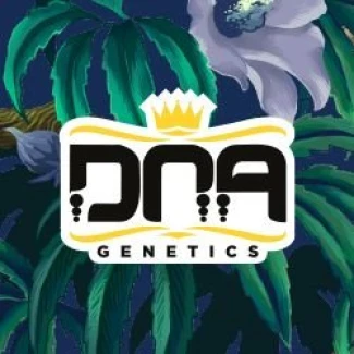 DNA GENETICS - DNA CAKE FEM | 6 SEMI