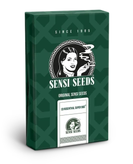 SENSI SEEDS BANK - ED ROSENTHAL SUPER BUD REG | 10 SEMI