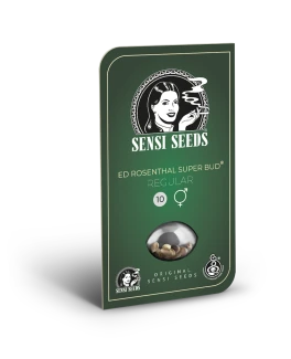 SENSI SEEDS BANK - ED ROSENTHAL SUPER BUD REG | 10 SEMI