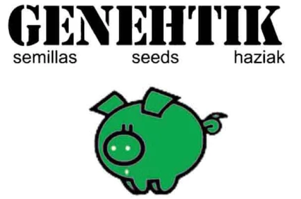 GENEHTIK SEEDS - BLUBONIK FEM | 1 SEME