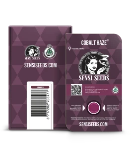 SENSI SEEDS BANK - COBALT HAZE FEM (Sensi #11) | 5 SEMI