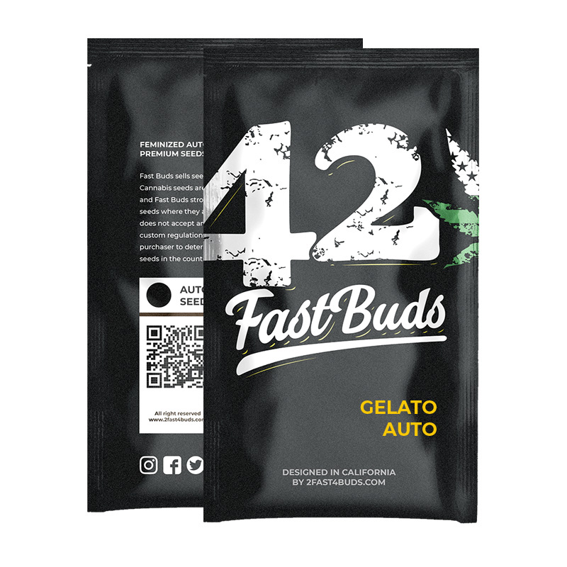 FAST BUDS - GELATO AUTO  25 SEMI, Semi da collezione marijuana