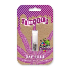 HSCCHT-3-F - HUMBOLDT SEEDS COMPANY - CANDY HUSTLE FEM | 3 SEEDS