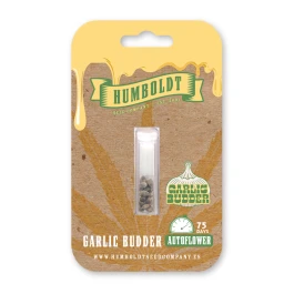 HSCGBA-3-F - HUMBOLDT SEEDS COMPANY - GARLIC BUDDER AUTO | 3 SAMEN