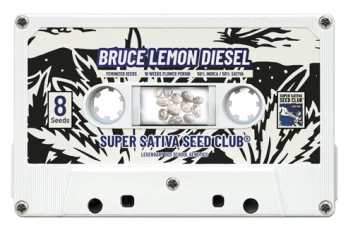 SSSC190502 - SUPER SATIVA SEED CLUB - BRUCE LEMON DIESEL FEM | 5 SAMEN