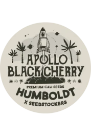 SSTKHF0025058 - SEEDSTOCKERS - APOLLO BLACK CHERRY AUTO FEM (SUPERIOR) | 25 SAMEN