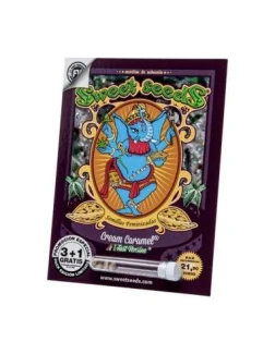 SWEET SEEDS - CREAM CARAMEL F1 FAST VERSION® FEM (SWS40) | 100 SEEDS