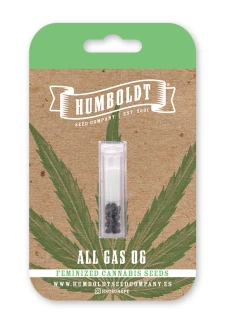 HUMBOLDT SEEDS COMPANY - ALL GAS OG FEM | 3 SEEDS