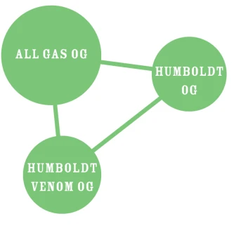HUMBOLDT SEEDS COMPANY - ALL GAS OG FEM | 10 SEEDS