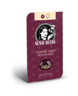 SENSI SEEDS BANK - COSMIC KISS FEM | 5 SEEDS