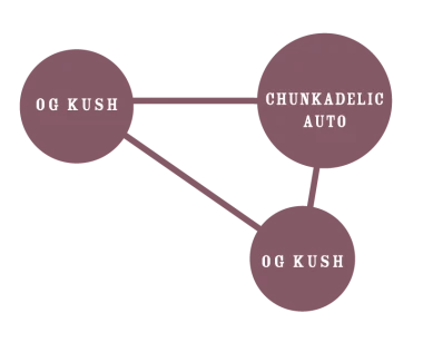 HUMBOLDT SEEDS COMPANY - OG KUSH AUTO | 5 SEEDS