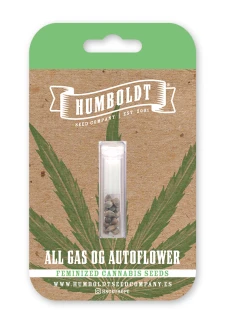 HUMBOLDT SEEDS COMPANY - ALL GAS OG AUTO | 3 SEEDS