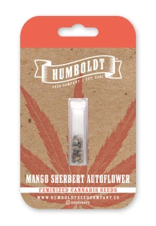 HUMBOLDT SEEDS COMPANY - MANGO SHERBET AUTO | 5 SEEDS