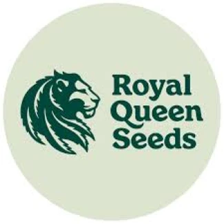 ROYAL QUEEN SEEDS - PINK GORILLA FEM | 3 SEEDS