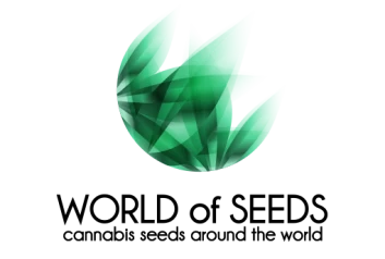 WOSPKV7F - WORLD OF SEEDS - PAKISTAN VALLEY FEM | 7 SEEDS