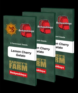 BARNEY'S FARM - LEMON CHERRY GELATO FEM | 5 SEEDS