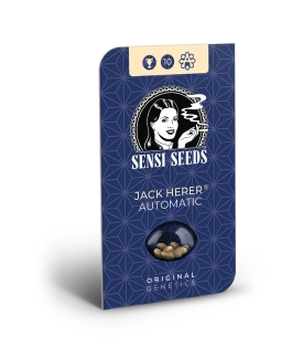 SENSI SEEDS BANK - JACK HERER AUTOMATIC FEM | 5 SEEDS