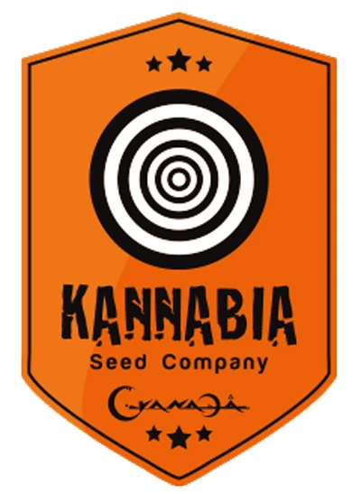SKFF050016 - B.LEE AUTO 5 SEEDS FEMM KANNABIA SEED COMPANY
