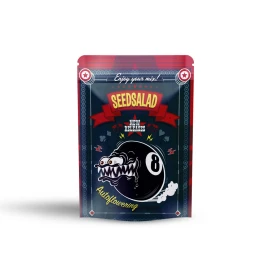 SEX0460010 - SEEDSALAD - AUTO CRITICAL 2.0 XXL FEM | 10 SEEDS