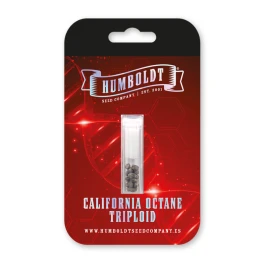 HSCCOTRP-3-F - HUMBOLDT SEEDS COMPANY - CALIFORNIA OCTANE TRIPLOID FEM | 3 SEEDS