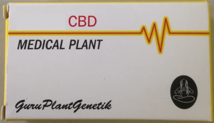 GURU PLANT GENETIK - ENERGY CBD FEM | 5 SEEDS