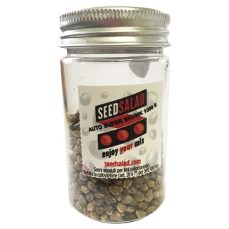 SEEDSALAD - AUTO SUPER SKUNK FEM | 1000 SEEDS